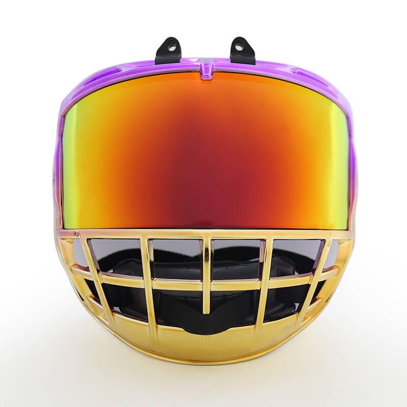 Aura Junior And Kid Ice Hockey Cage With Visor