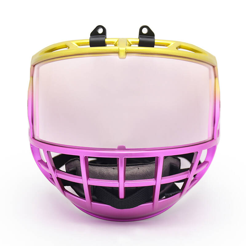 VioYell Ice Hockey Mask For Youth